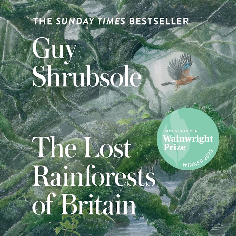 Cover image for The Lost Rainforests of Britain, isbn: 9780008527983