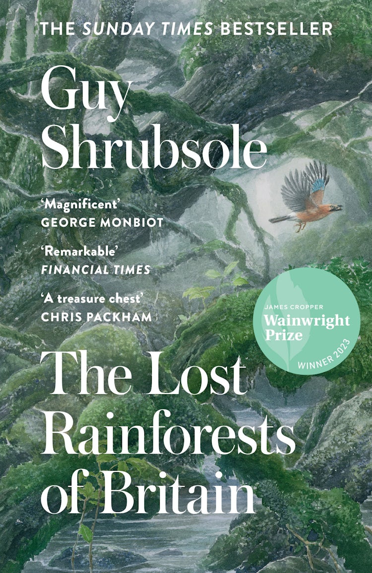 Cover image for The Lost Rainforests Of Britain, isbn: 9780008527990