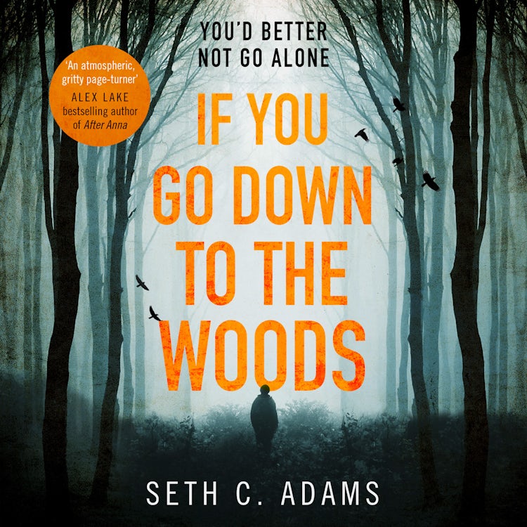 Cover image for If You Go Down to the Woods: A powerful and gripping debut thriller which will send you on an emotional rollercoaster!, isbn: 9780008528331