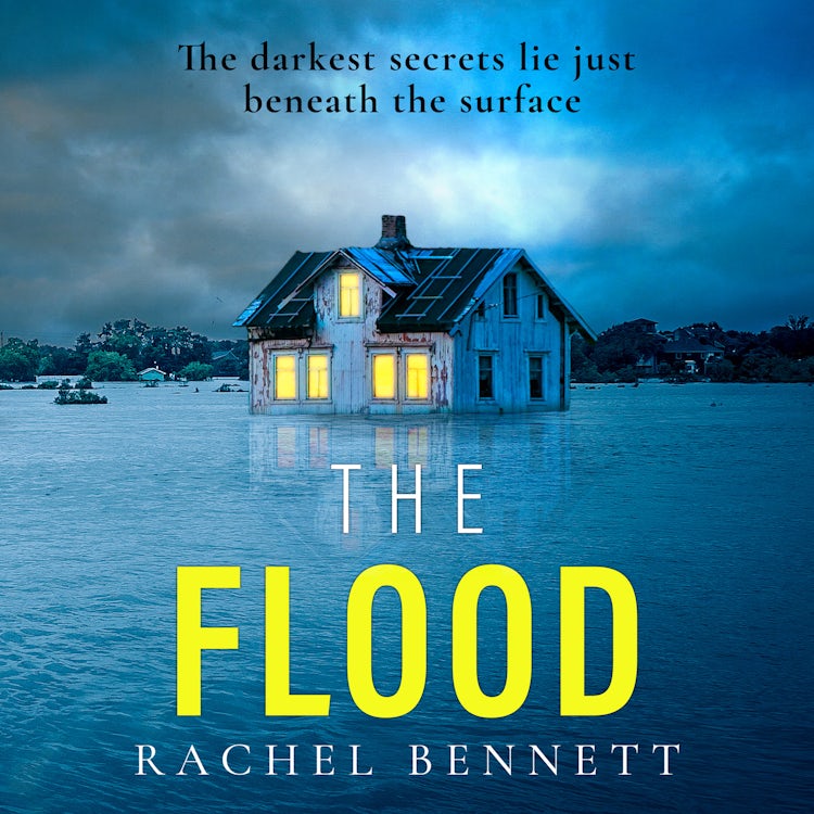 Cover image for The Flood: An absolutely gripping thriller you won’t be able to put down, isbn: 9780008528416