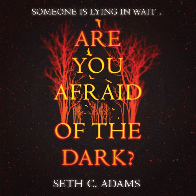 Cover image for Are You Afraid of the Dark?: A tense, gripping new crime thriller which will keep you on the edge of your seat!, isbn: 9780008528492