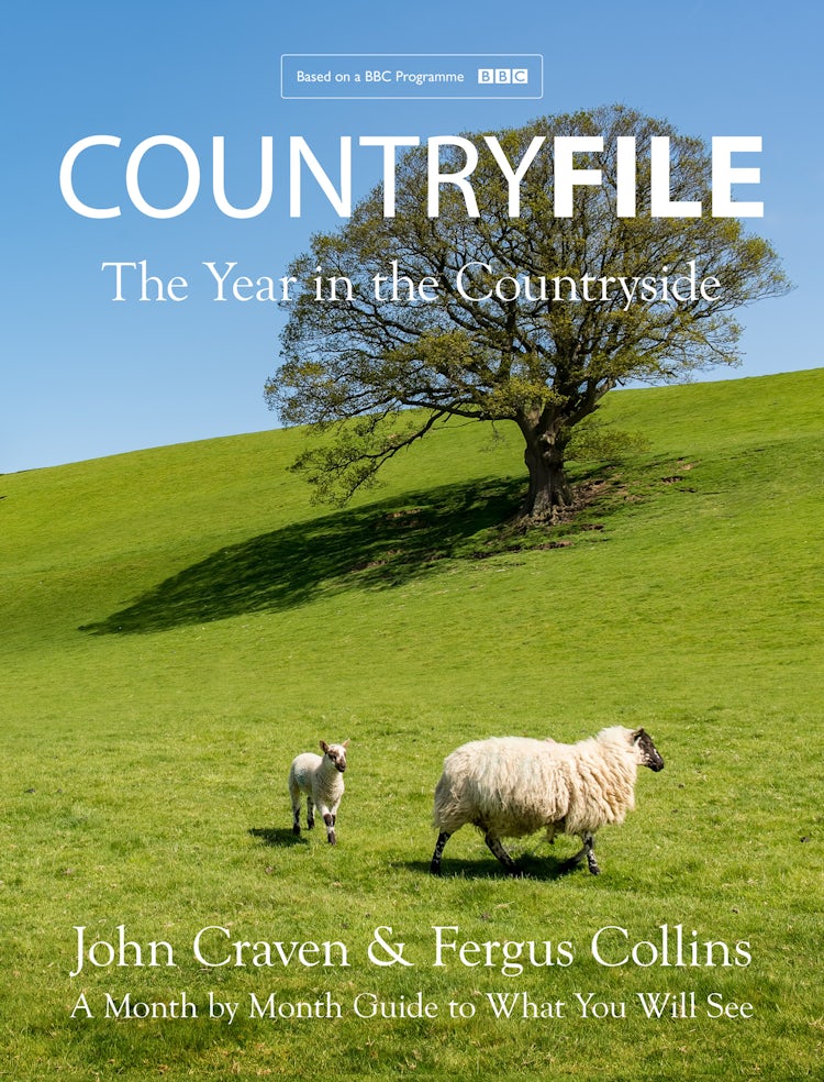 Cover image for Countryfile: The Year in the Countryside, isbn: 9780008529345
