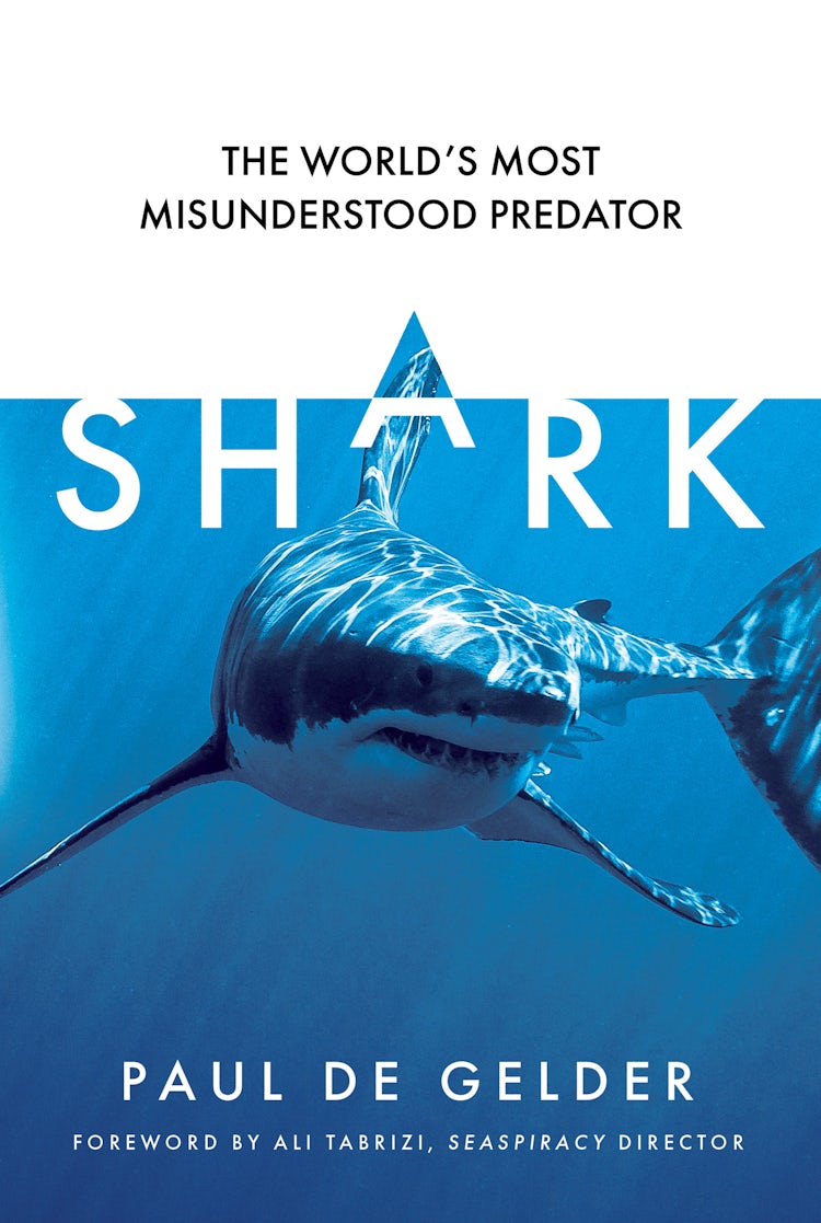 Cover image for Shark: Why We Need to Save the World's Most Misunderstood Predator, isbn: 9780008529703