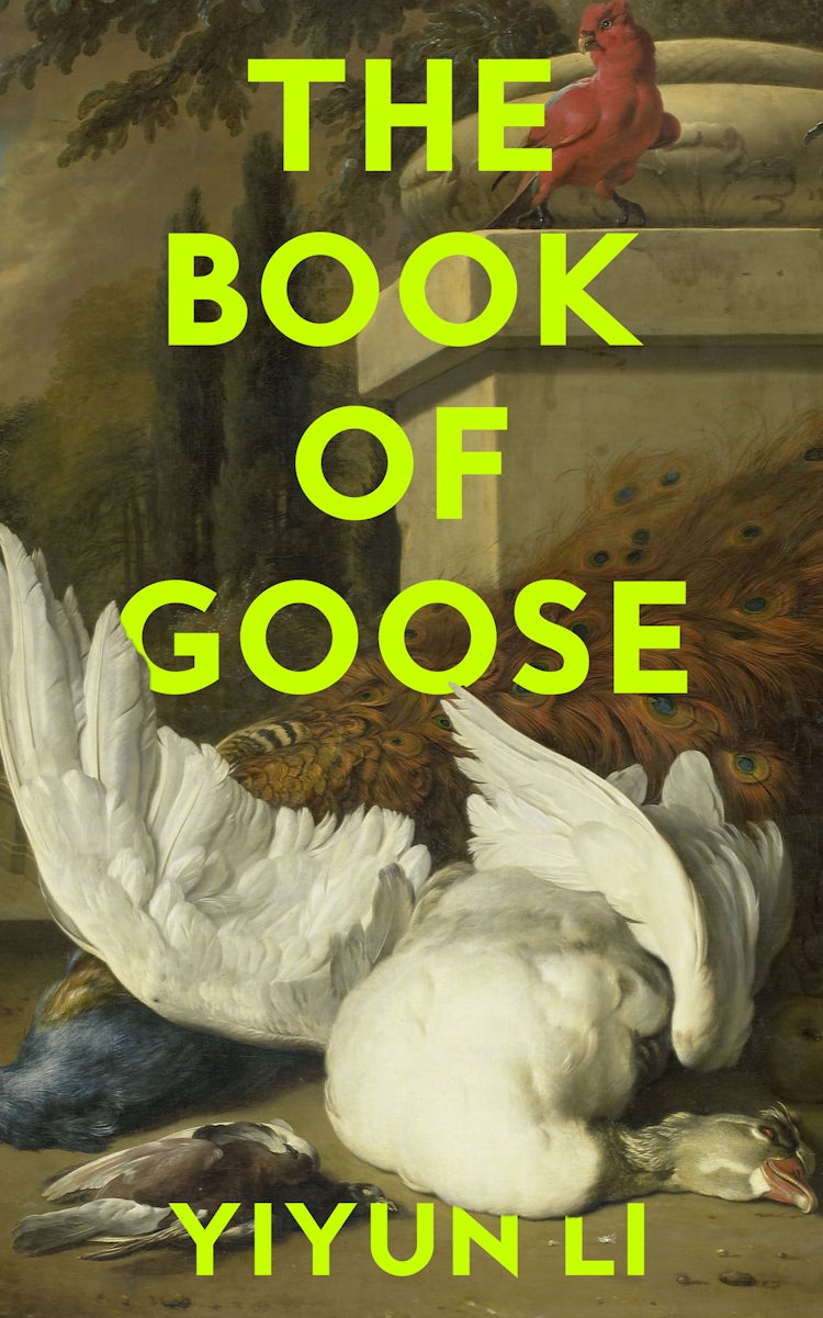 Cover image for The Book of Goose, isbn: 9780008531829