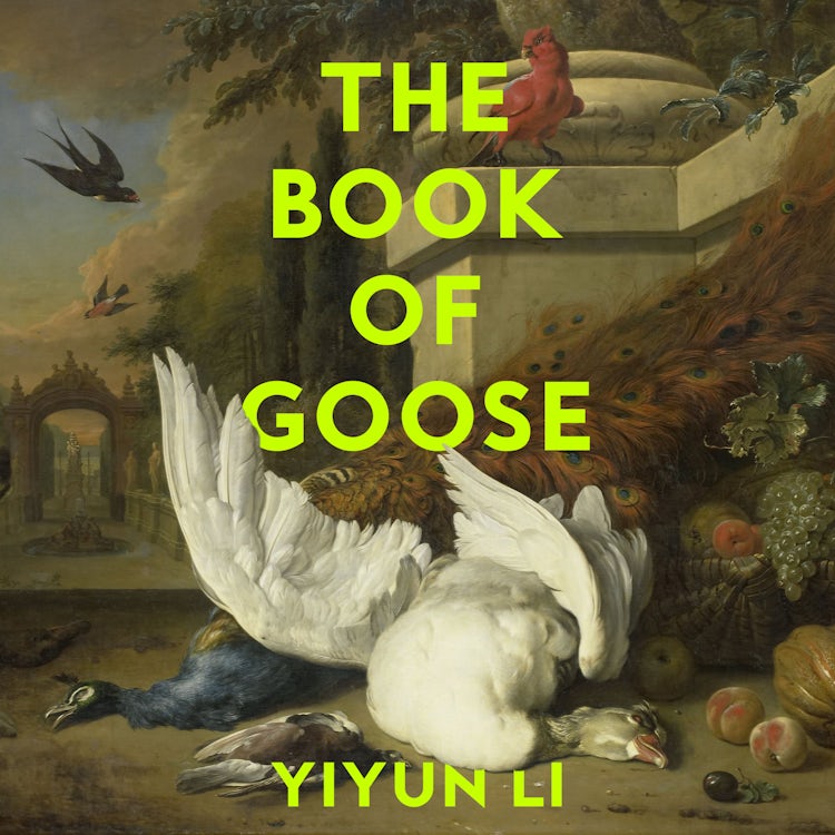 Cover image for The Book of Goose: The gripping new novel from the prize-winning author of Where Reasons End, isbn: 9780008531843