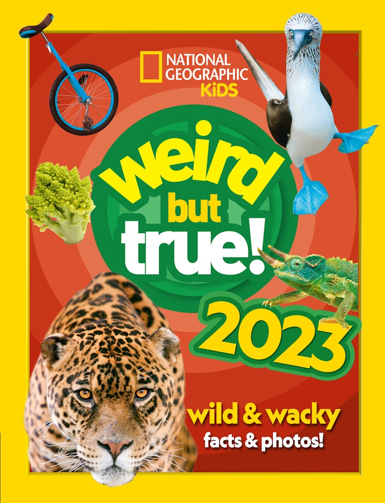 Cover image for National Geographic Kids - Weird But True! 2023: Wild And Wacky Facts & Photos!, isbn: 9780008532963