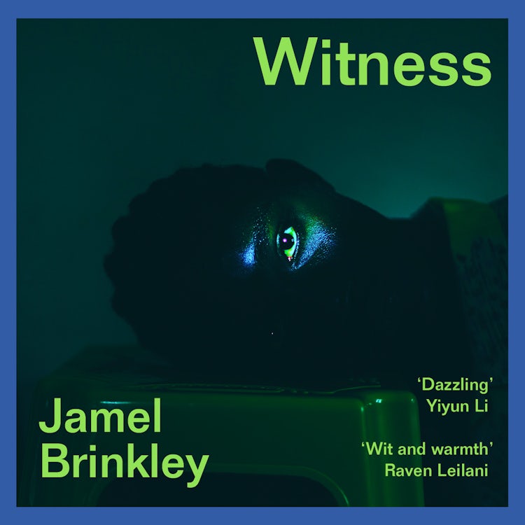 Cover image for Witness: The stunning new short story collection of families and relationships – ‘Brinkley’s sentences are daggers’ Raven Leilani, isbn: 9780008538668