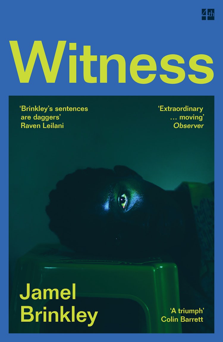 Cover image for Witness, isbn: 9780008538675