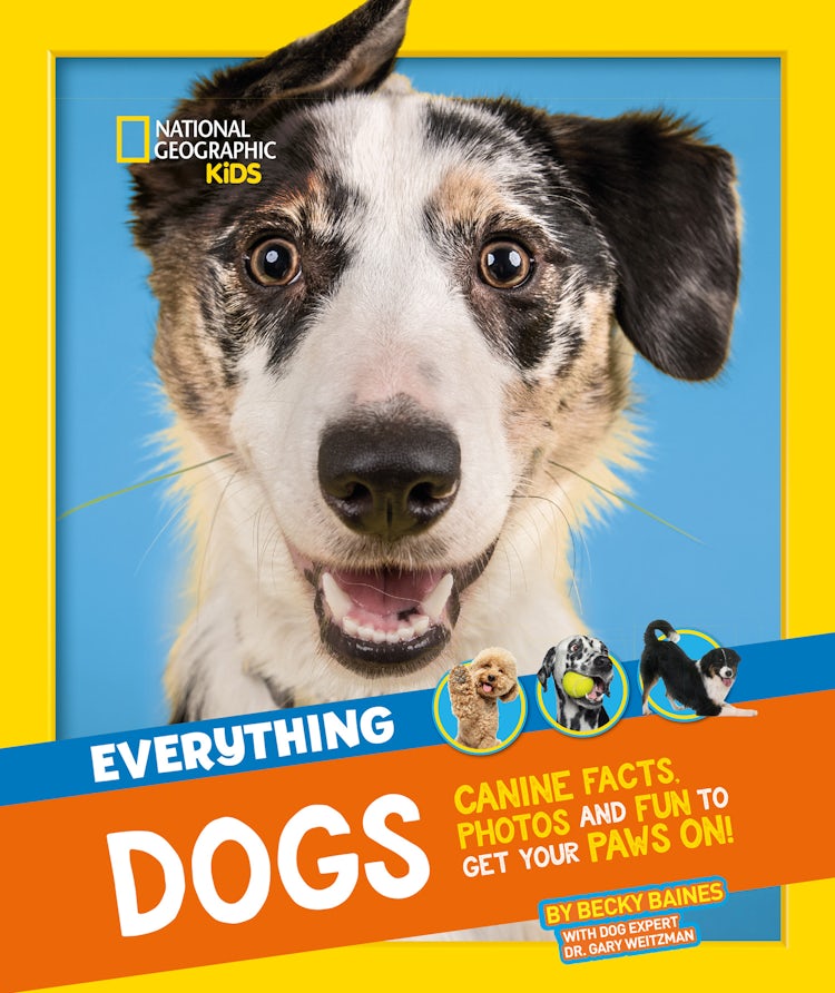 Cover image for Everything: Dogs: Canine Facts, Photos and Fun to Get Your Paws On!, isbn: 9780008541569