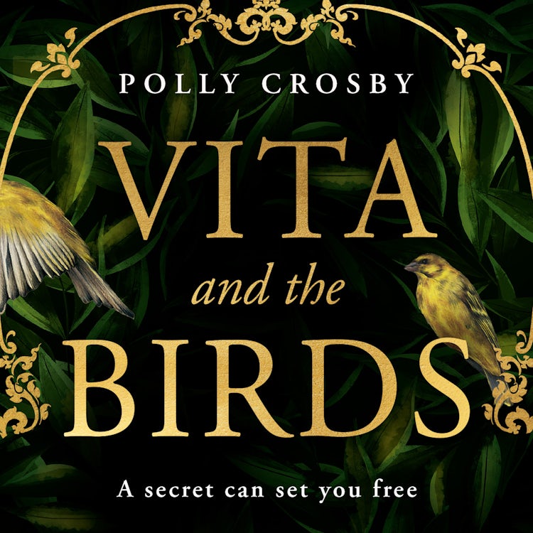 Cover image for Vita and the Birds: A captivating dual timeline historical mystery, isbn: 9780008550677