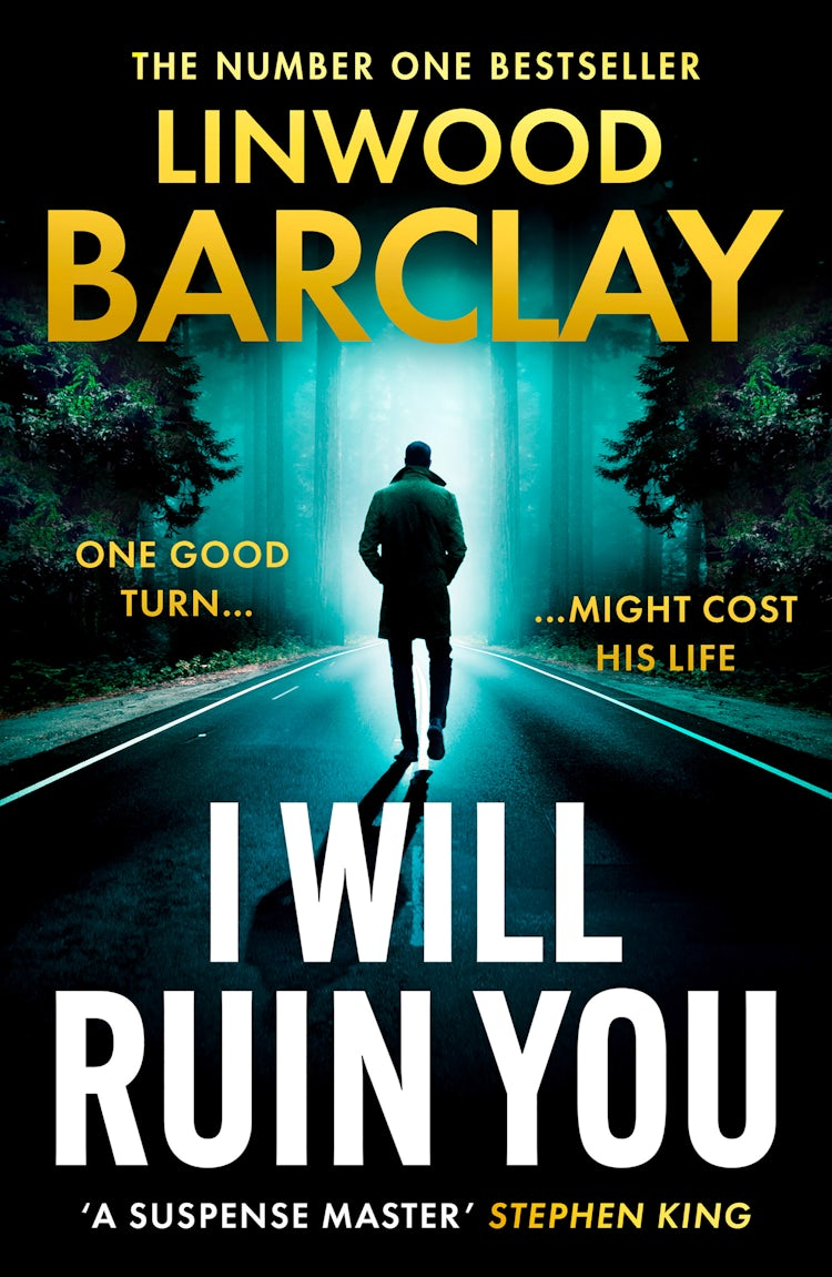 Cover image for I Will Ruin You, isbn: 9780008555764