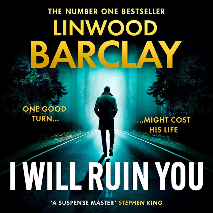 Cover image for I Will Ruin You: An explosive new psychological suspense crime thriller from the Sunday Times bestselling author of Take Your Breath Away and The Lie Maker, isbn: 9780008555771