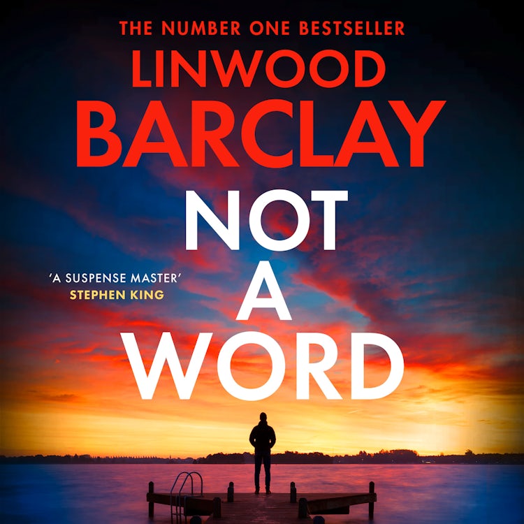 Cover image for Not a Word: The gripping and unputdownable crime thriller from the Sunday Times bestselling author of I Will Ruin You – brand-new for 2026!, isbn: 9780008555825