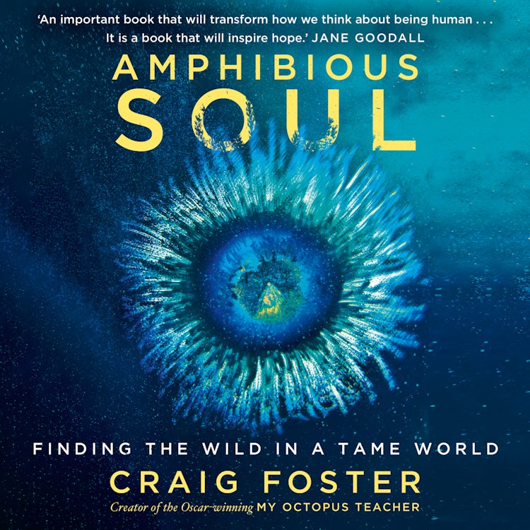 Cover image for Amphibious Soul: Finding the wild in a tame world, isbn: 9780008556051