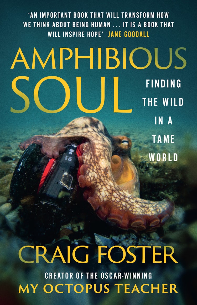 Cover image for Amphibious Soul: Finding the wild in a tame world, isbn: 9780008556068