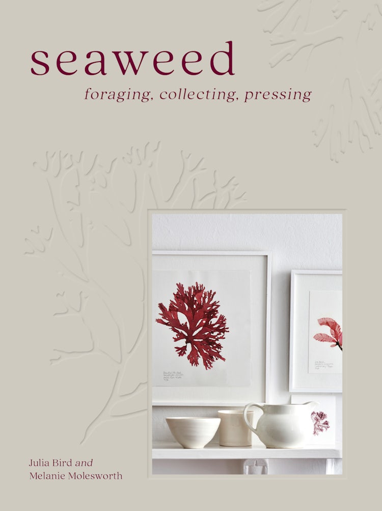 Cover image for Seaweed: Foraging, Collecting, Pressing, isbn: 9780008557416