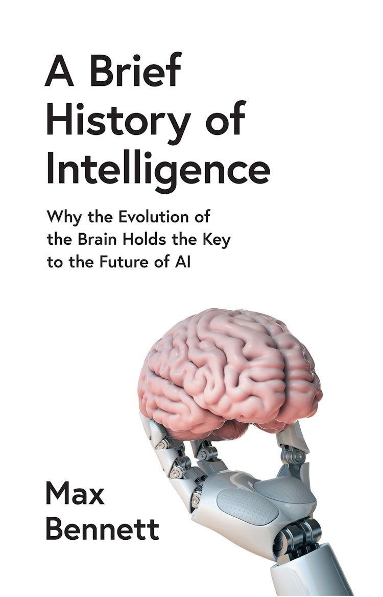 Cover image for A Brief History of Intelligence: Why the Evolution of the Brain Holds the Key to the Future of AI, isbn: 9780008560119