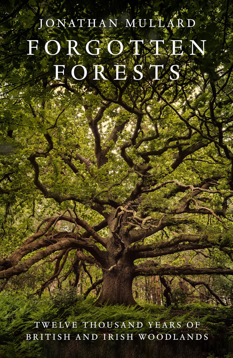 Cover image for Forgotten Forests: Twelve Thousand Years of British and Irish Woodlands, isbn: 9780008561048