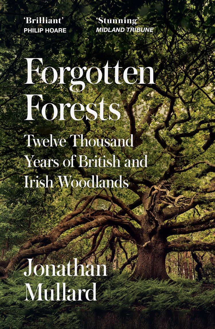 Cover image for Forgotten Forests: Twelve Thousand Years of British and Irish Woodlands, isbn: 9780008561062