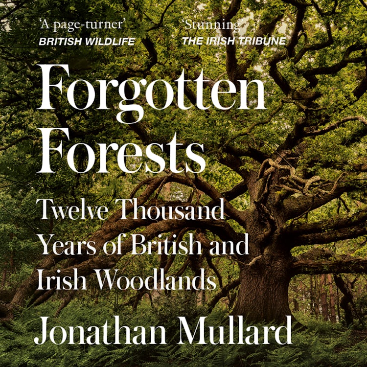 Cover image for Forgotten Forests: Twelve Thousand Years of British and Irish Woodlands, isbn: 9780008561079