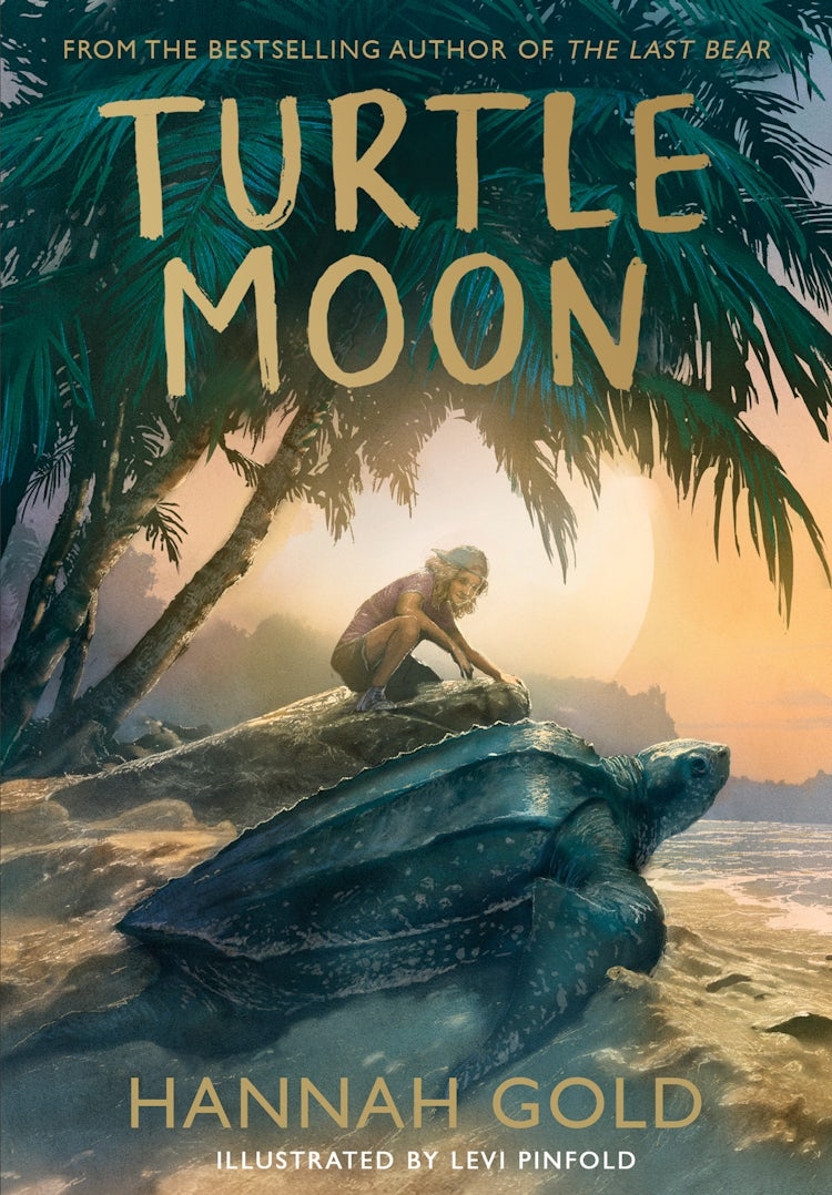Cover image for Turtle Moon, isbn: 9780008582067
