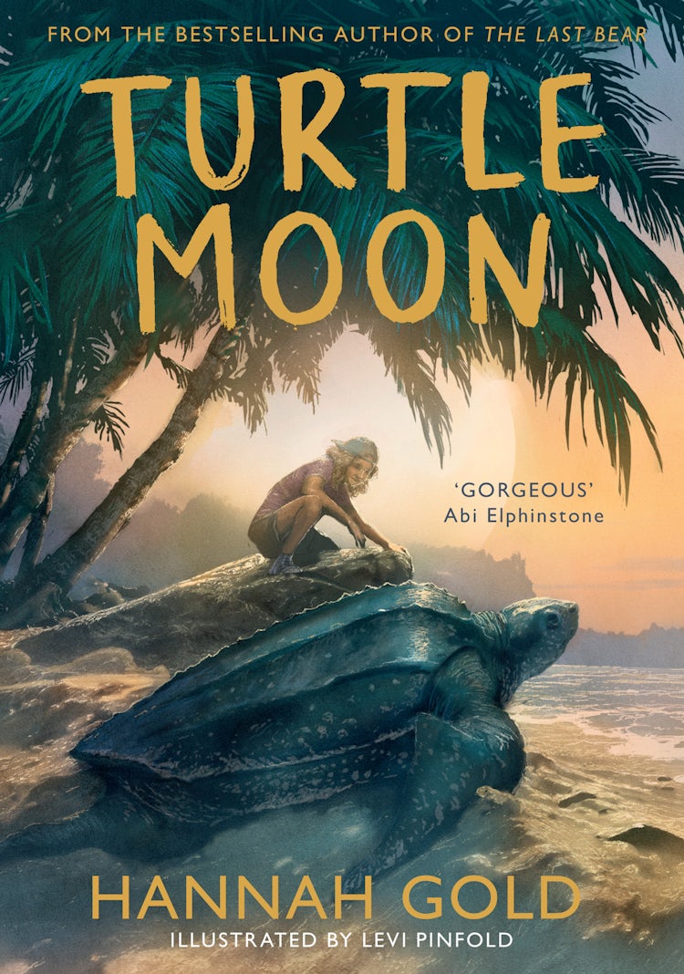 Cover image for Turtle Moon: A thrilling illustrated adventure story from the bestselling author of THE LAST BEAR, isbn: 9780008582081