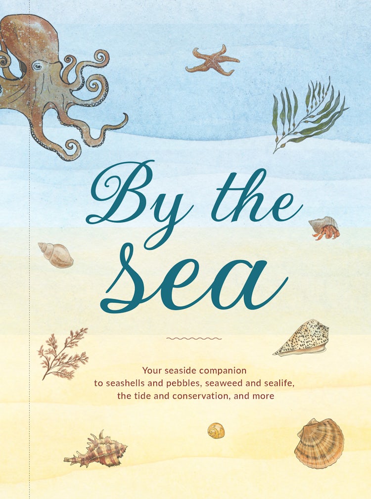 Cover image for By the Sea: Your coastline companion, from beautiful beaches and marine miscellany, to stunning seashells, seaweed, and sealife, isbn: 9780008584504