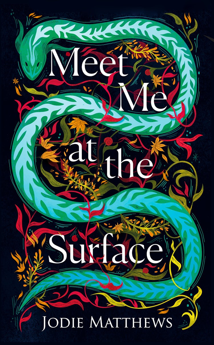 Cover image for Meet Me At the Surface, isbn: 9780008585013