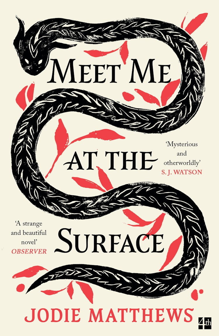 Cover image for Meet Me at the Surface, isbn: 9780008585020