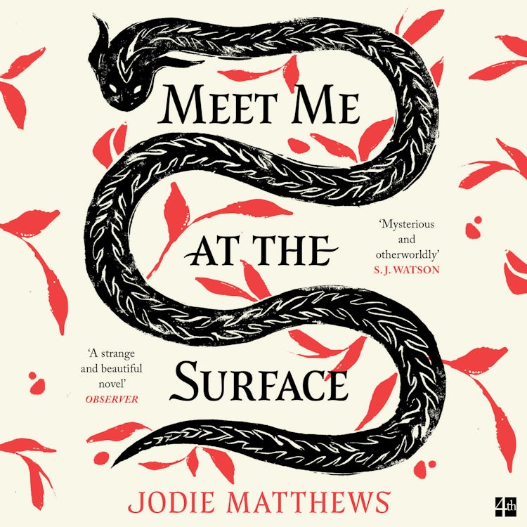 Cover image for Meet Me at the Surface: A haunting and literary debut novel inspired by Cornish folklore; ‘Strange and beautiful’ Observer, isbn: 9780008585037