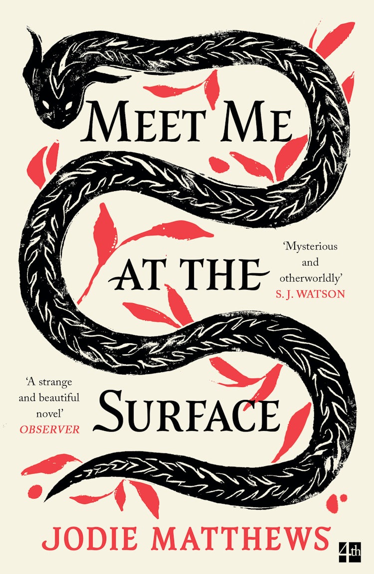 Cover image for Meet Me at the Surface, isbn: 9780008585051