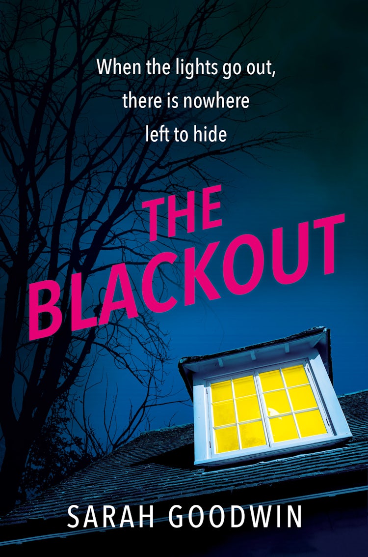 Cover image for The Blackout (The Thriller Collection, Book 4), isbn: 9780008591588