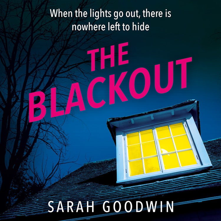 Cover image for The Blackout: The gripping new psychological thriller novel for fans of Claire Douglas, with twists that will leave you breathless (The Thriller Collection, Book 4), isbn: 9780008591595