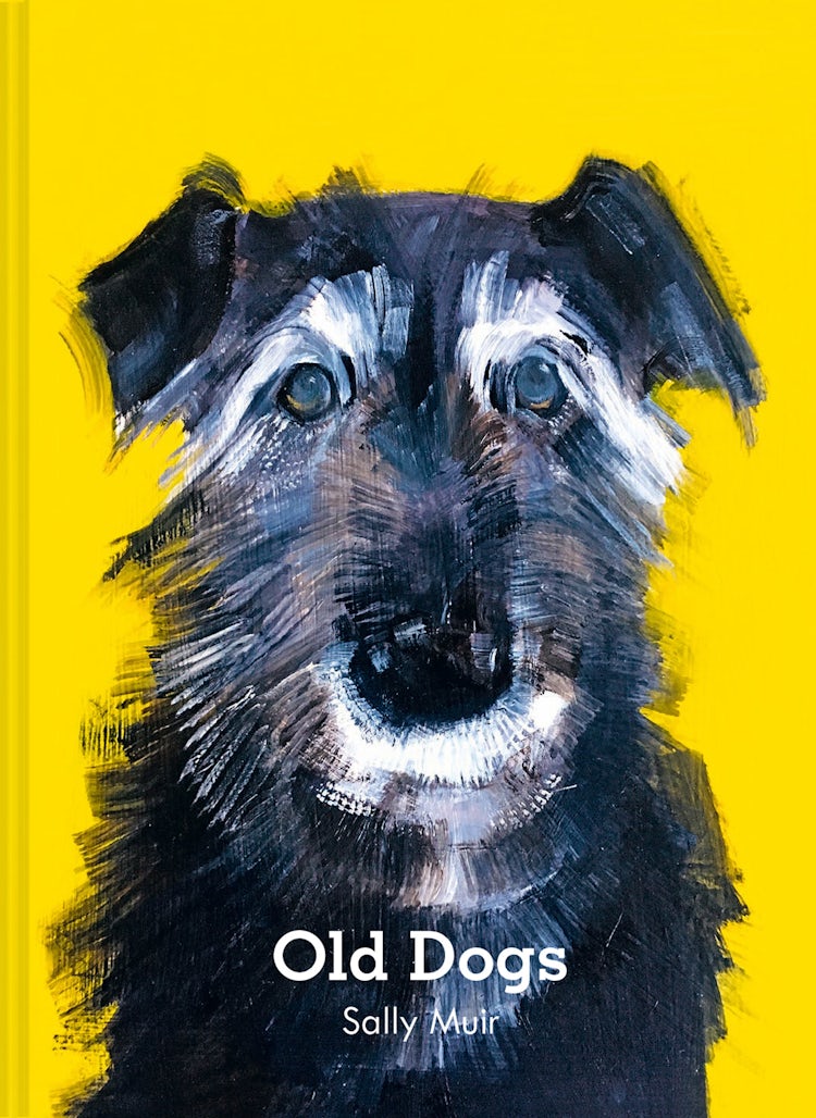 Cover image for Old Dogs, isbn: 9780008591632