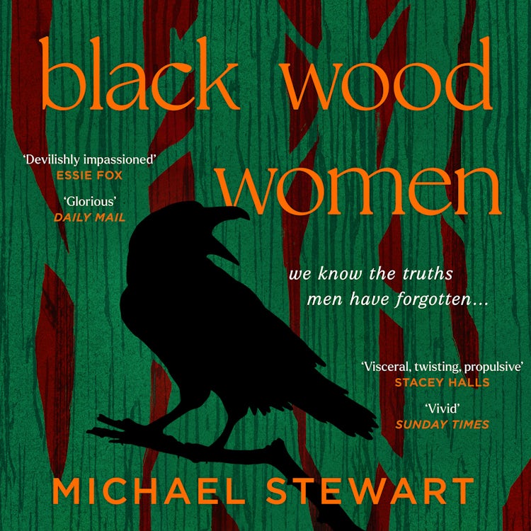 Cover image for Black Wood Women: A spellbinding, gripping, unputdownable historical novel, to read in 2025, isbn: 9780008596125