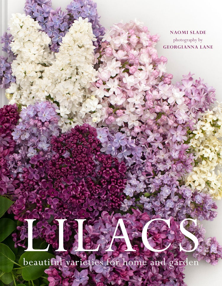 Cover image for Lilacs: Beautiful varieties for home and garden, isbn: 9780008601652