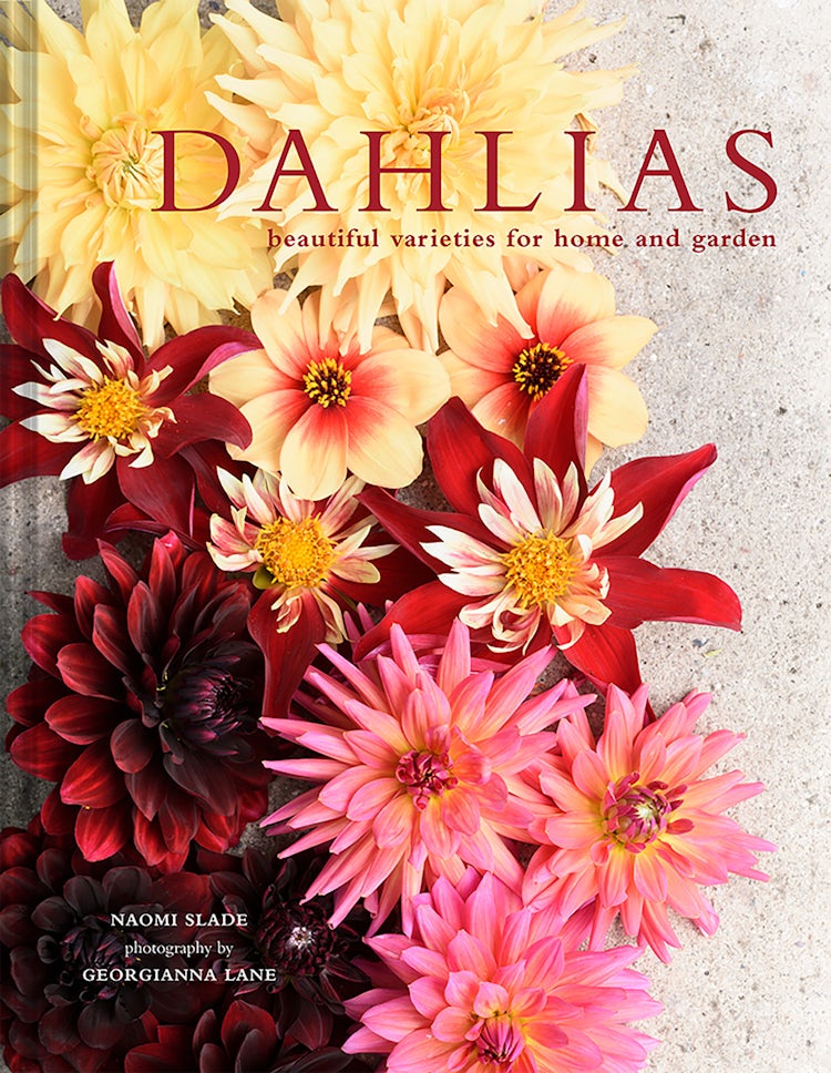 Cover image for Dahlias: Beautiful varieties for home and garden, isbn: 9780008606169
