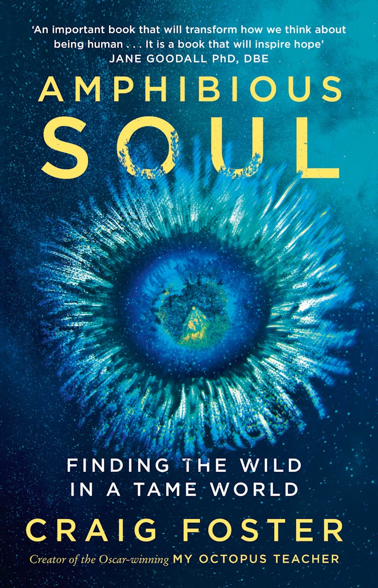 Cover image for Amphibious Soul: Finding the wild in a tame world, isbn: 9780008613082