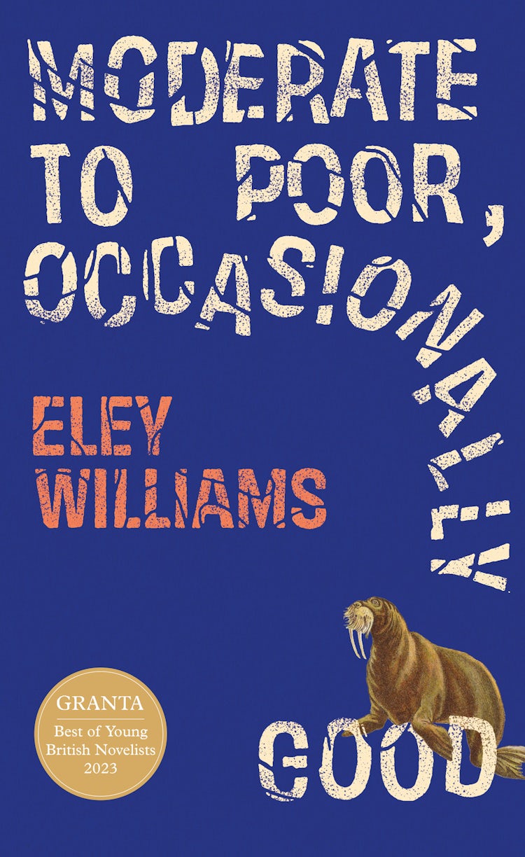 Cover image for Moderate to Poor, Occasionally Good, isbn: 9780008618933