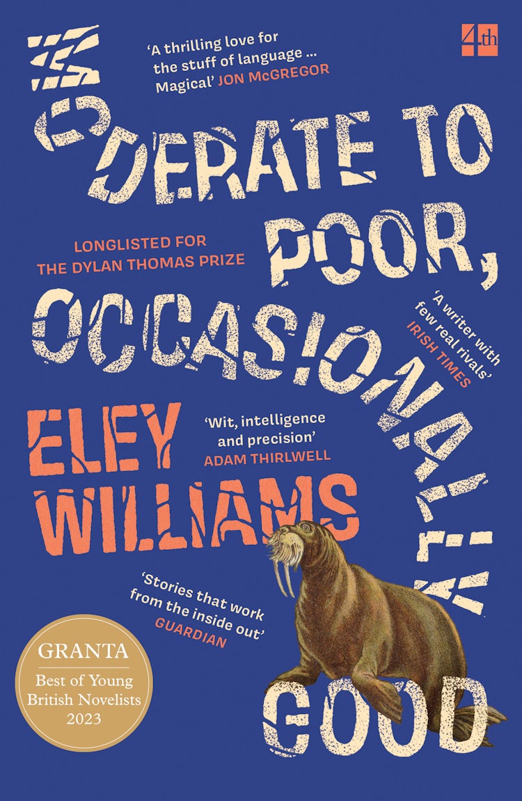 Cover image for Moderate to Poor, Occasionally Good, isbn: 9780008618940