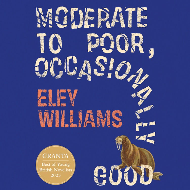Cover image for Moderate to Poor, Occasionally Good: Shortlisted for the 2025 Dylan Thomas Prize, isbn: 9780008618957