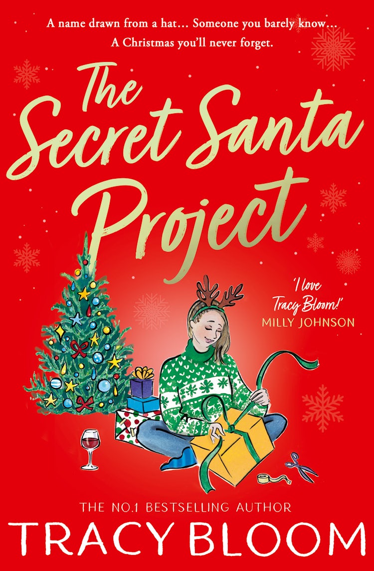 Cover image for The Secret Santa Project, isbn: 9780008619145