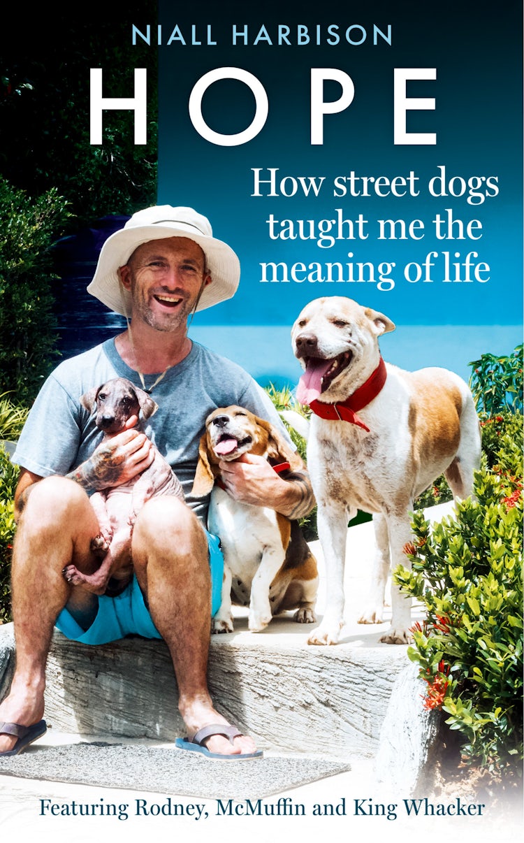 Cover image for Hope-How Street Dogs Taught Me the Meaning of Life: Featuring Rodney, McMuffin and King Whacker, isbn: 9780008627218