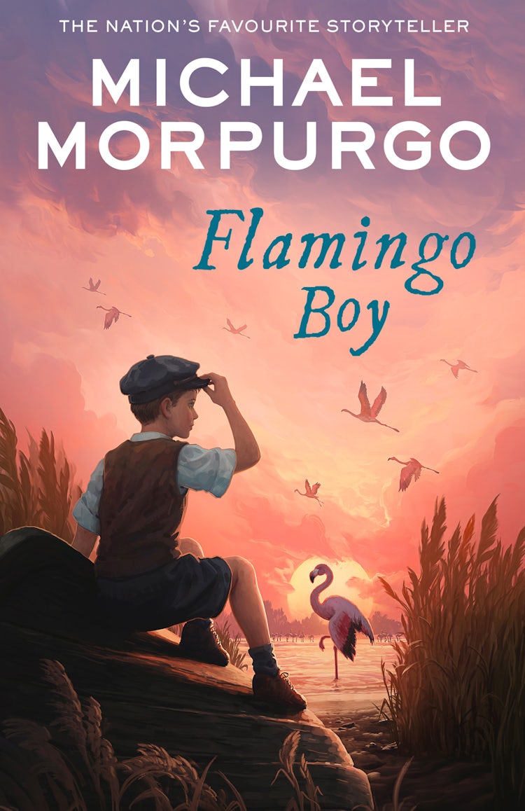 Cover image for Flamingo Boy, isbn: 9780008638740