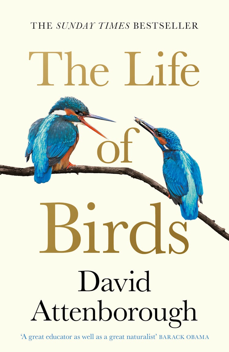 Cover image for The Life of Birds, isbn: 9780008638979