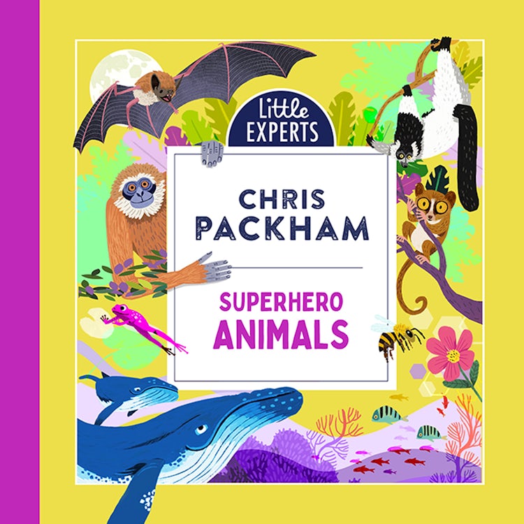 Cover image for Superhero Animals: Chris Packham’s unmissable, new illustrated non-fiction children’s book for 2024 on animals, the environment and protecting our planet (Little Experts), isbn: 9780008643928
