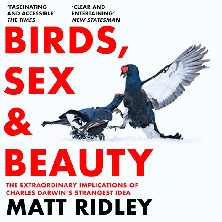 Cover image for Birds, Sex and Beauty: The extraordinary implications of Charles Darwin’s strangest idea, isbn: 9780008645557