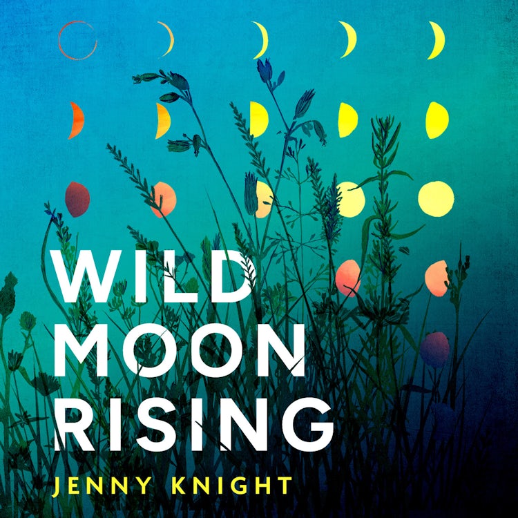 Cover image for Wild Moon Rising: The powerful and emotional literary debut novel exploring female friendship and midlife new for summer 2025, isbn: 9780008650254