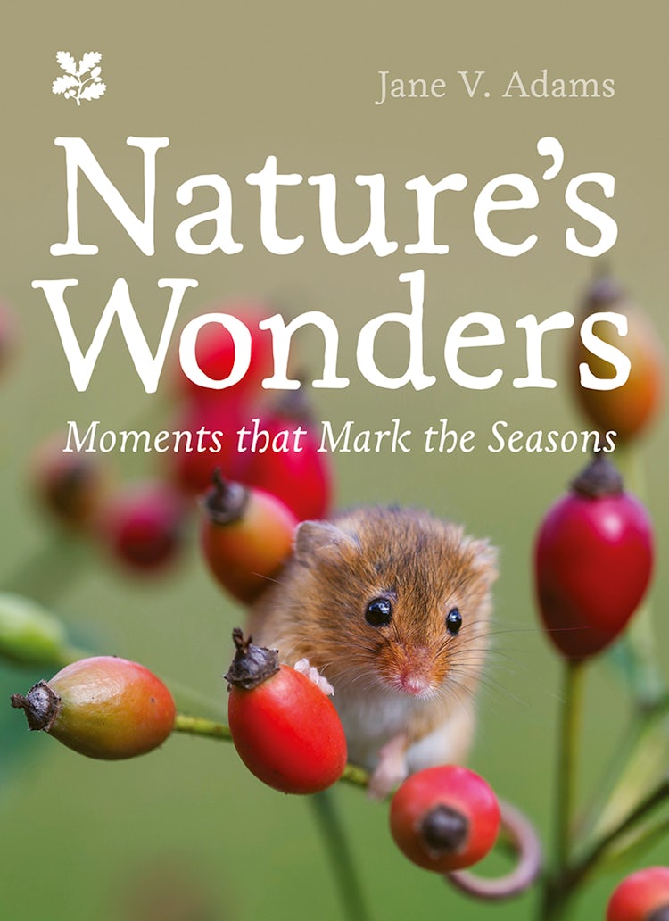 Cover image for Nature’s Wonders: Moments that mark the seasons (National Trust), isbn: 9780008650971