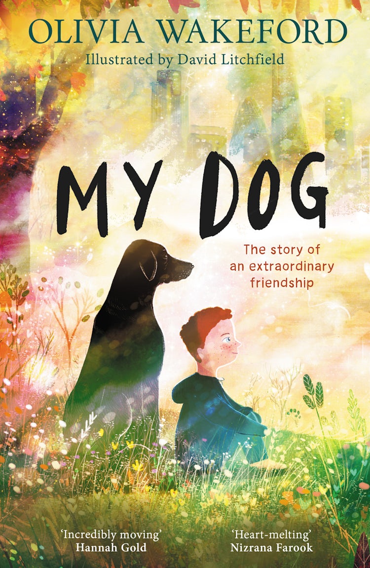 Cover image for My Dog: New for 2025, a beautifully illustrated and heartfelt story for children about a boy and his dog, perfect for fans of Hannah Gold and Patrick Ness, isbn: 9780008658588